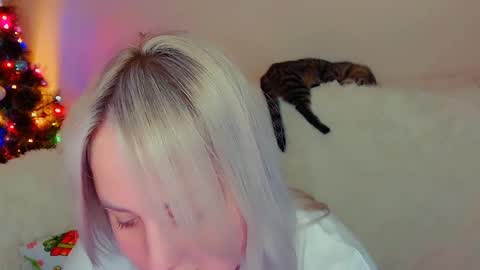 Snapshot of not_nakedcat chatting on 12/18/24, 07:52 hi glad to chat online show from 12/18/24, 07:52