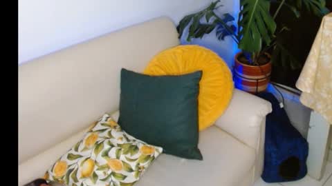 Snapshot of novaperotti chatting on 10/08/25, 11:35 novaperotti online show from 10/08/25, 11:35