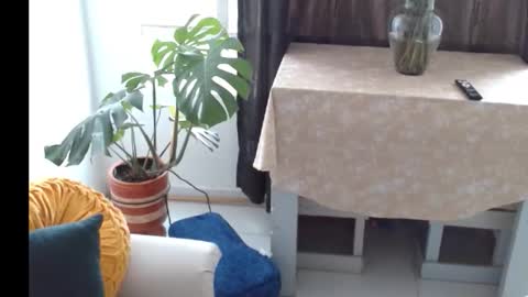 Snapshot of novaperotti chatting on 11/05/25, 06:41 novaperotti online show from 11/05/25, 06:41