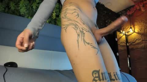 Novi online show from 11/19/25, 07:36