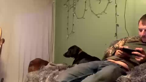 nsy57528 online show from 10/19/25, 12:00