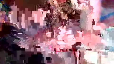 nxrmvljxn online show from 12/01/25, 02:49