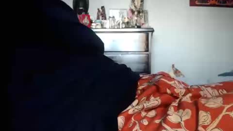 KN online show from 10/19/25, 04:07