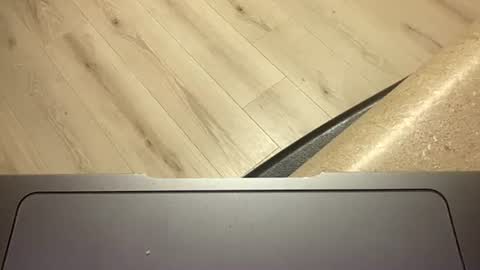 ofthatguy online show from 10/24/25, 02:30