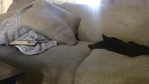 OGDigBick online show from 11/04/25, 02:16