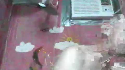 oldbuthorny62 online show from 11/23/25, 06:57