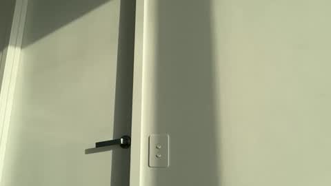 Olivia Brookes online show from 11/17/25, 07:52