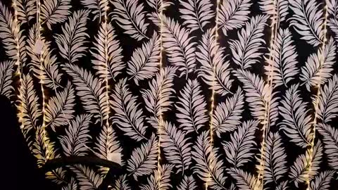 Kelly online show from 03/02/25, 03:16