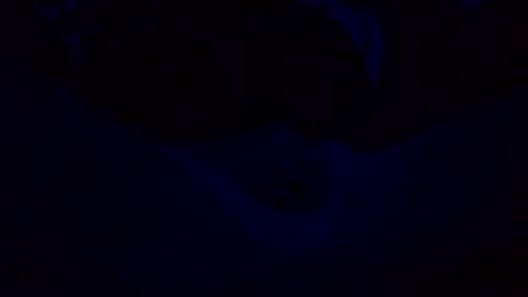 orgazim online show from 10/29/25, 10:06