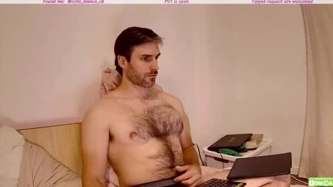 Snapshot of osito_blanco chatting on 11/06/25, 12:55 Osito Blanco online show from 11/06/25, 12:55