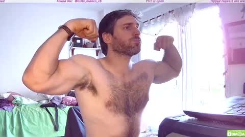 Snapshot of osito_blanco chatting on 11/13/25, 08:19 Osito Blanco online show from 11/13/25, 08:19