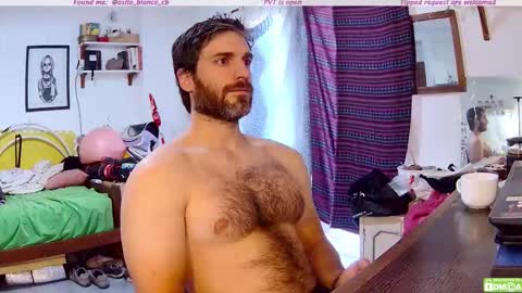 Snapshot of osito_blanco chatting on 12/04/25, 11:19 Osito Blanco online show from 12/04/25, 11:19