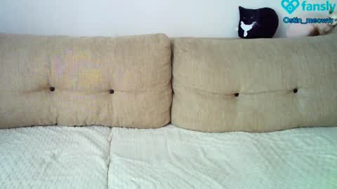 Snapshot of ostin_meoww chatting on 03/08/25, 05:17 Ostin online show from 03/08/25, 05:17