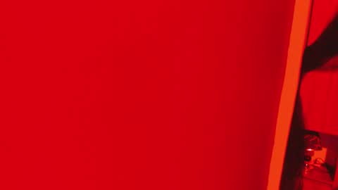  P A M  online show from 11/16/25, 04:07