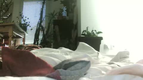 Snapshot of patrora chatting on 11/30/25, 03:05 patrora online show from 11/30/25, 03:05