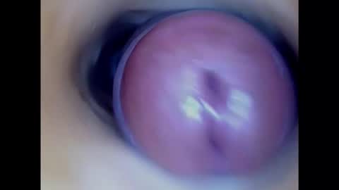 Snapshot of paulainoscente chatting on 01/17/25, 03:53 Paula 18 Aninhos online show from 01/17/25, 03:53