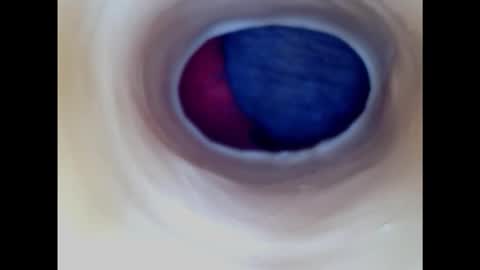 Snapshot of paulainoscente chatting on 01/18/25, 05:04 Paula 18 Aninhos online show from 01/18/25, 05:04