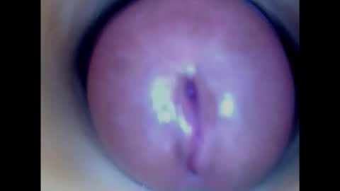 Snapshot of paulainoscente chatting on 01/29/25, 08:56 Paula 18 Aninhos online show from 01/29/25, 08:56