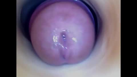 Snapshot of paulainoscente chatting on 10/14/25, 06:20 Paula 18 Aninhos online show from 10/14/25, 06:20