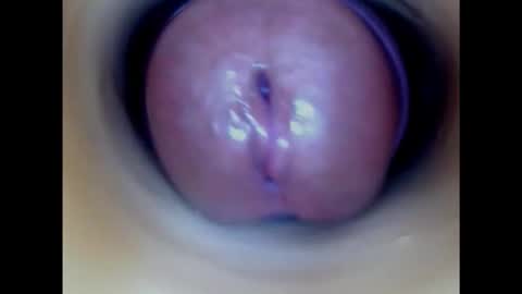 Snapshot of paulainoscente chatting on 10/21/25, 11:38 Paula 18 Aninhos online show from 10/21/25, 11:38