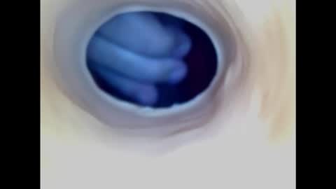 Snapshot of paulainoscente chatting on 11/02/25, 02:36 Paula 18 Aninhos online show from 11/02/25, 02:36