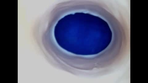 Snapshot of paulainoscente chatting on 11/09/25, 07:34 Paula 18 Aninhos online show from 11/09/25, 07:34