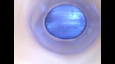 Snapshot of paulainoscente chatting on 12/02/25, 02:28 Paula 18 Aninhos online show from 12/02/25, 02:28