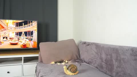 Violetta online show from 12/29/24, 03:03