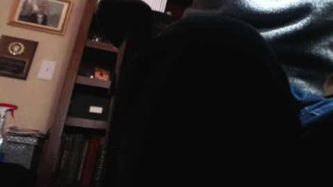 pem1650 online show from 01/12/25, 10:54