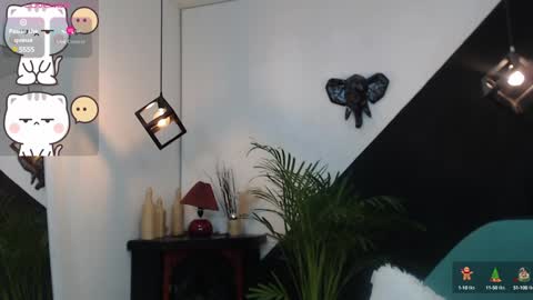   online show from 12/20/24, 12:19