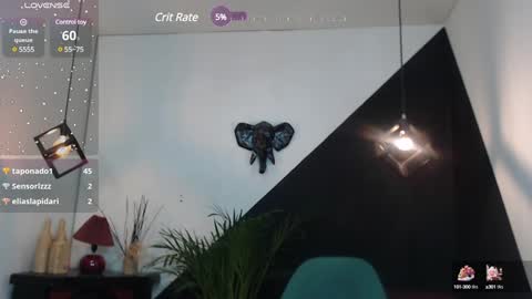   online show from 01/25/25, 06:02