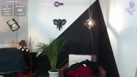   online show from 01/31/25, 10:10