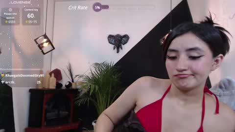   online show from 02/05/25, 11:17