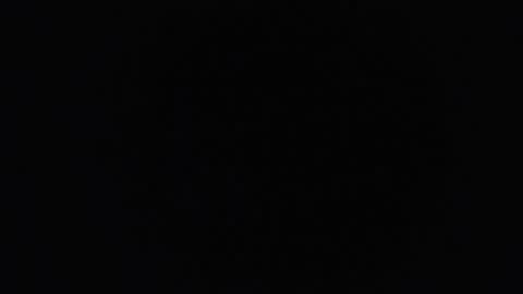 Snapshot of perlabigass21 chatting on 10/31/25, 08:48 lecia online show from 10/31/25, 08:48