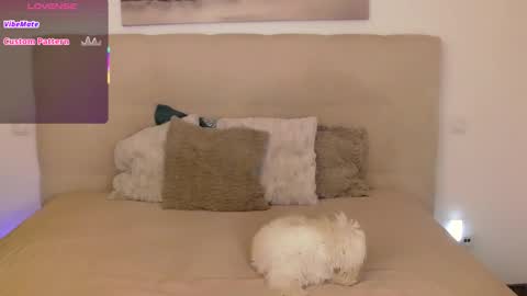 Snapshot of petersemily chatting on 09/14/25, 10:20 Peters Emily online show from 09/14/25, 10:20