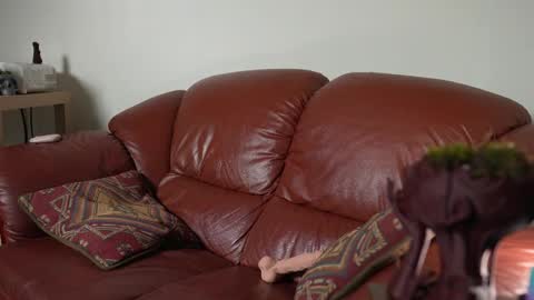 caracal online show from 03/11/25, 05:27