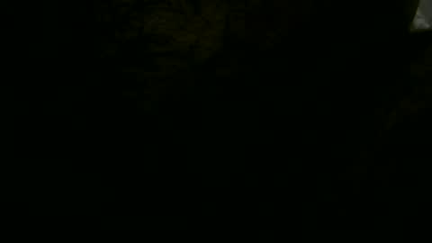 pgls online show from 01/19/25, 01:32