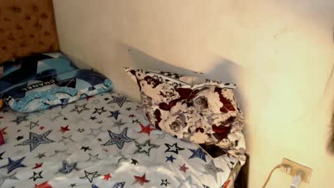 Snapshot of philipina_ally chatting on 01/23/25, 03:05 philipina_ally online show from 01/23/25, 03:05