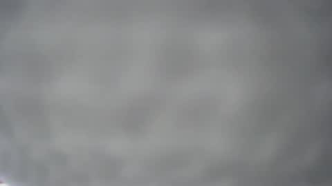 pichard18 online show from 12/13/24, 05:16