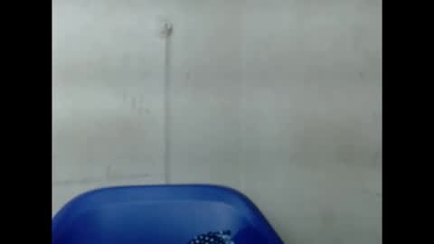 pinkxsugar online show from 09/10/25, 06:13