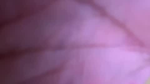 Snapshot of pistolpete9891 chatting on 01/25/25, 08:42 pistolpete9891 online show from 01/25/25, 08:42