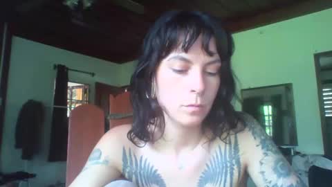 pixiecatfairy online show from 11/11/25, 06:24