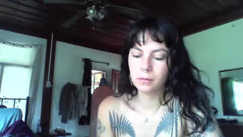 pixiecatfairy online show from 11/18/25, 03:01