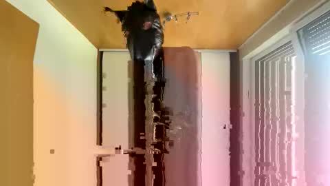 playdog123 online show from 10/12/25, 01:21