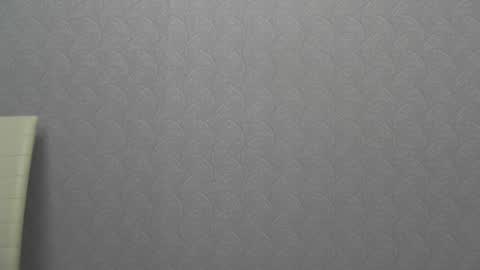 Snapshot of playful_goldie chatting on 01/05/25, 02:52 Goldie online show from 01/05/25, 02:52