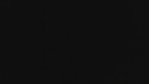 pocoyotop online show from 12/18/24, 09:08