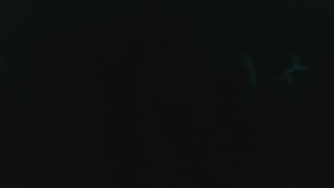 pokerffface79 online show from 11/12/25, 05:57