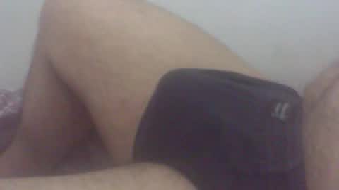 Snapshot of pol2023 chatting on 11/19/25, 03:06 pol2023 online show from 11/19/25, 03:06