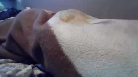 Snapshot of polishbigdick17 chatting on 10/29/25, 06:04 polishbigdick17 online show from 10/29/25, 06:04