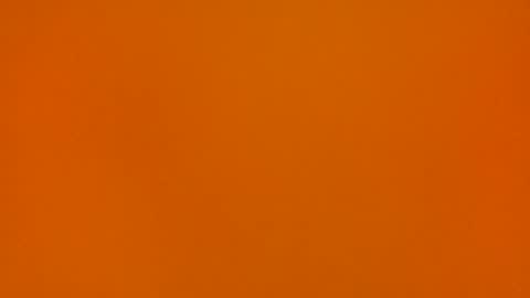 Poprigyn53535 online show from 11/01/25, 10:28